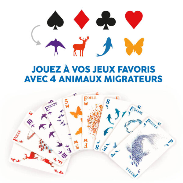 nuées jeu de cartes